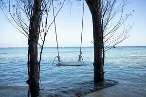 a wooden swing hanging photo