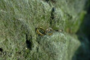 wedding ring on a mossy stone in the morning photo