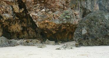 panoramic views of the beach, coral mountains photo