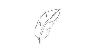 Animation forms a sketch of a chicken feather icon video
