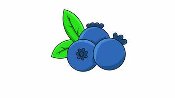 animado vídeo de el azul baya Fruta icono video