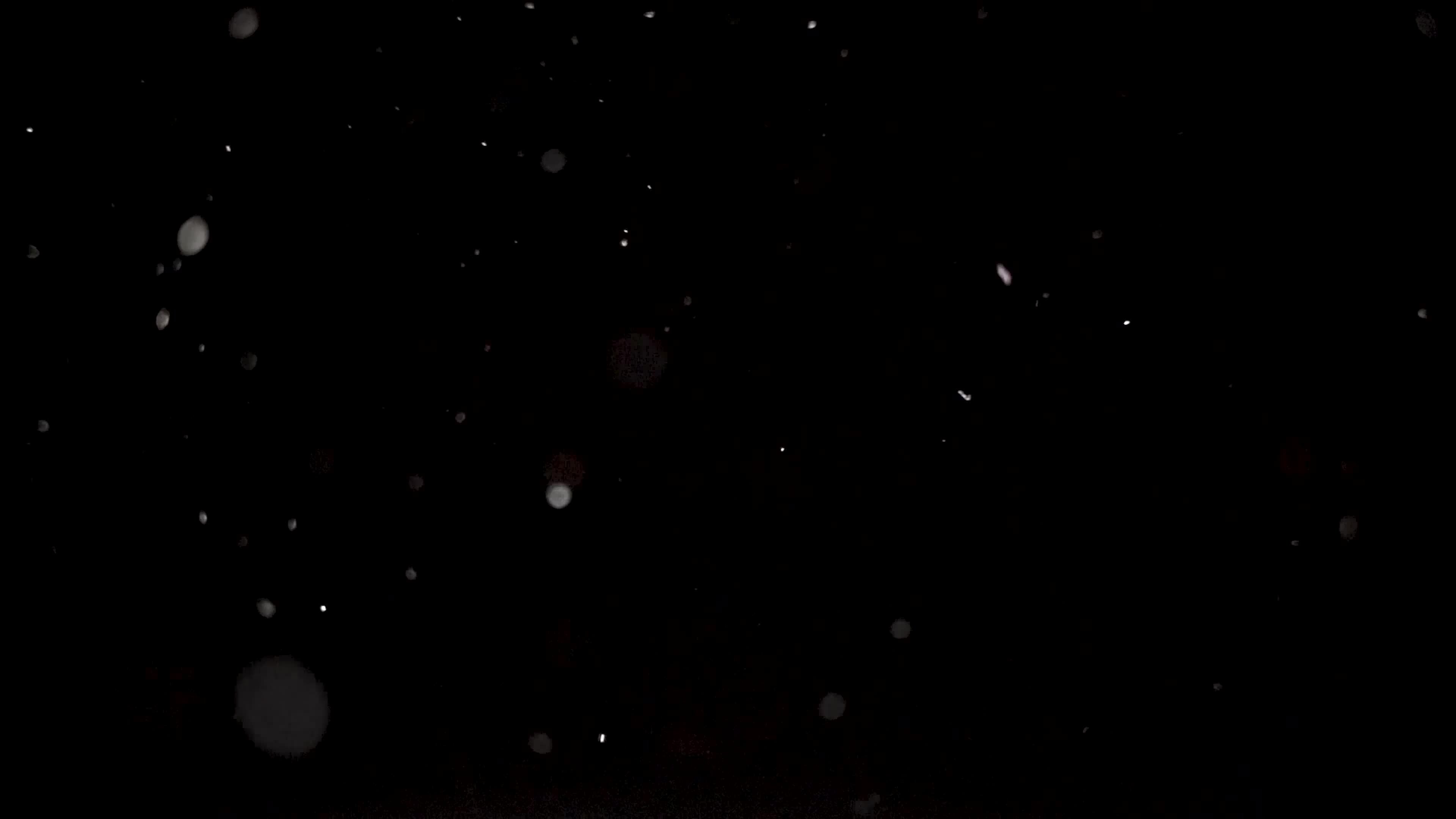 Real dust particles motion floating in the air. Organic cinematic