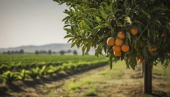 un naranja árbol es en el primer plano con un granja campo antecedentes. generativo ai foto