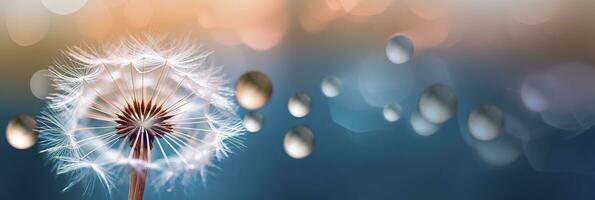 Abstract blurred nature background dandelion seeds parachute. Bokeh pattern. Generative AI photo