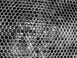 La estructura hexagonal abstracta es un panal de abejas de la colmena. foto