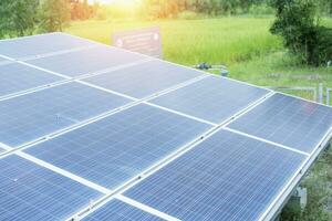 solar panel The background is an agricultural rice field. photo