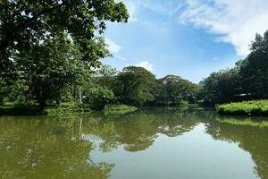 lake natural scenery with green trees and blue sky photo