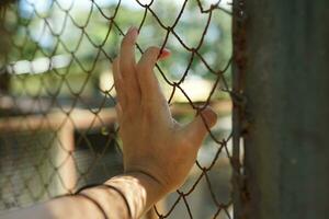 hands on the bars gripping the steel net photo