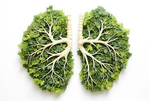 Lungs made of tree green leaves. Ai generative. photo