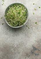 Microgreens grown in a jar. photo