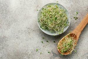 Microgreens grown in a jar. photo