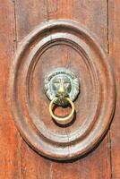 a lion head on a wooden door handle photo