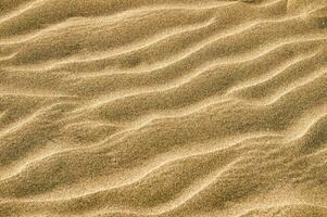 sand texture on the beach photo