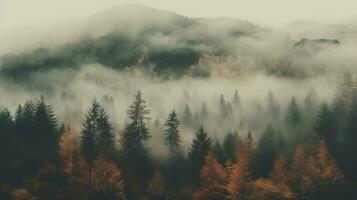 Generative AI, Misty fir forest beautiful landscape in hipster vintage retro style, foggy mountains and trees. photo