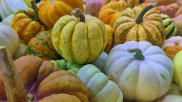 Stapel von Herbst Kürbisse Filmaufnahme. video