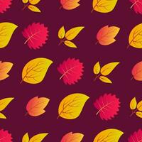 Autumn seamless background with maple colorful leaves. Design for fall season posters, wrapping papers and holidays decorations. Vector illustration