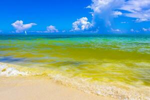 playa caribeña tropical agua clara turquesa playa del carmen méxico. foto