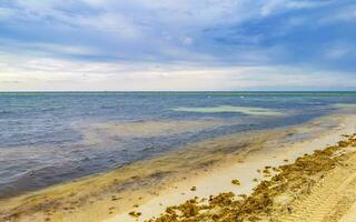 Tropical mexican beach clear turquoise water Playa del Carmen Mexico. photo