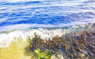 Stones rocks corals turquoise green blue water on beach Mexico. photo