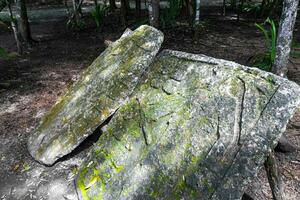 Coba Maya Ruins ancient buildings pyramids reliefs tropical jungle Mexico. photo