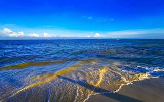 Tropical Caribbean beach clear turquoise water Playa del Carmen Mexico. photo