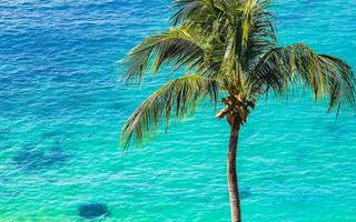 Palm tree beach blue turquoise water waves Carrizalillo Puerto Escondido. photo