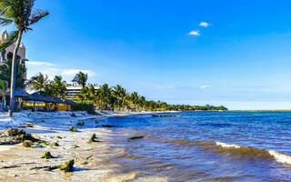 playa tropical mexicana agua turquesa clara playa del carmen mexico. foto