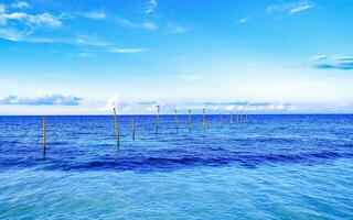 Tropical Caribbean beach clear turquoise water Playa del Carmen Mexico. photo