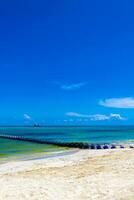 algas marinas sargazo receptor red caribe playa agua playa del carmen México. foto