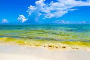 playa caribeña tropical agua clara turquesa playa del carmen méxico. foto