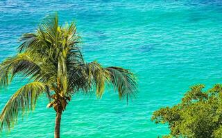 Palm tree beach blue turquoise water waves Carrizalillo Puerto Escondido. photo