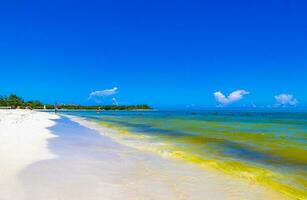 playa caribeña tropical agua clara turquesa playa del carmen méxico. foto