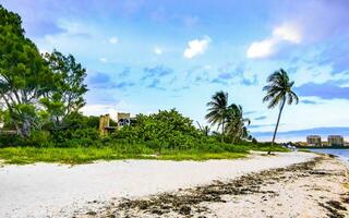 Tropical Caribbean beach clear turquoise water Playa del Carmen Mexico. photo