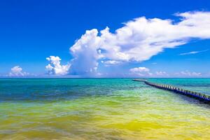 playa caribeña tropical agua clara turquesa playa del carmen méxico. foto