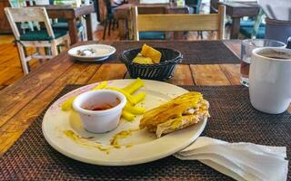 junquillo emparedado brindis un pan con pollo tomate ensalada patatas papas fritas foto