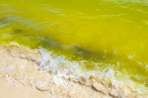 Waves at tropical beach caribbean sea clear turquoise water Mexico. photo