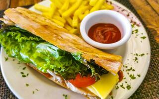 Baguette sandwich toast bread with chicken tomato salad potatoes fries. photo