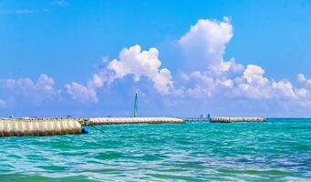 algas marinas sargazo red caribe playa agua playa del carmen México. foto