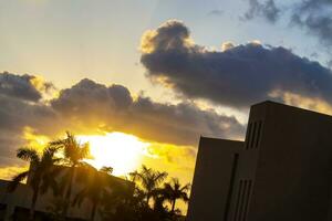 vistoso dorado puesta de sol amanecer tropical caribe palma arboles nubes México. foto