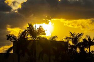 vistoso dorado puesta de sol amanecer tropical caribe palma arboles nubes México. foto