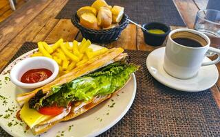 junquillo emparedado brindis un pan con pollo tomate ensalada patatas papas fritas foto