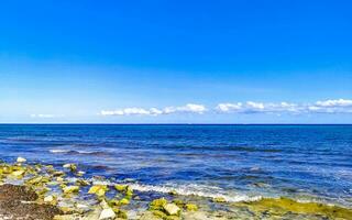 Stones rocks corals turquoise green blue water on beach Mexico. photo