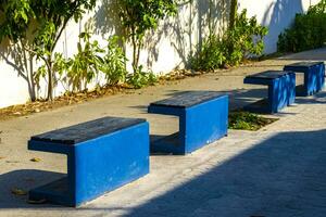 Blue benches along the way Playa del Carmen Mexico. photo