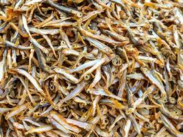 dried fish in the market photo