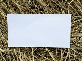 blank paper on the grass photo