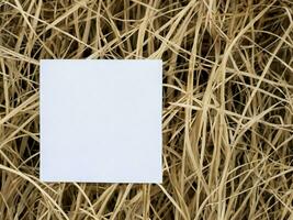 blank paper on the grass photo