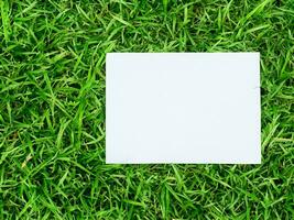 white blank poster on green grass background. photo