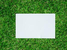 white blank poster on green grass background. photo