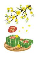 Vietnamese traditional lunar new year vector set. Vietnamese new year cuisine and flower. Chung cake vector and ochna integerrima  tree branch vector. Banh chung, hoa mai. Vietnamese Tet. Tet holiday.