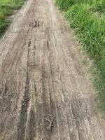 dirty dirt track in the country road. photo